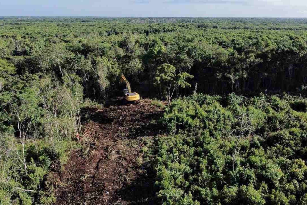 Juzgado da suspensión definitiva en 4 tramos del Tren Maya