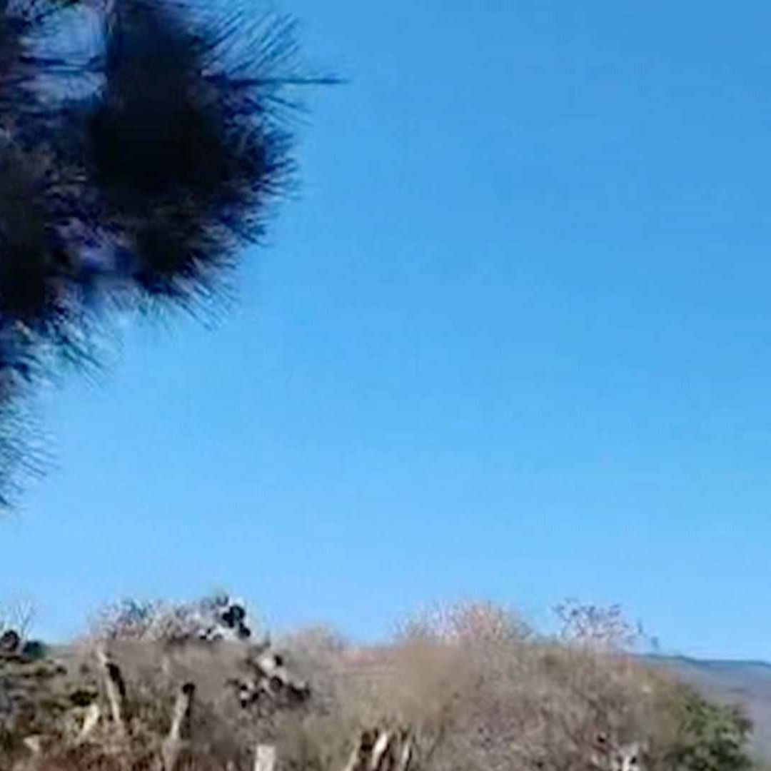 Operativo de fuerzas especiales en límites de Jalisco y Zacatecas