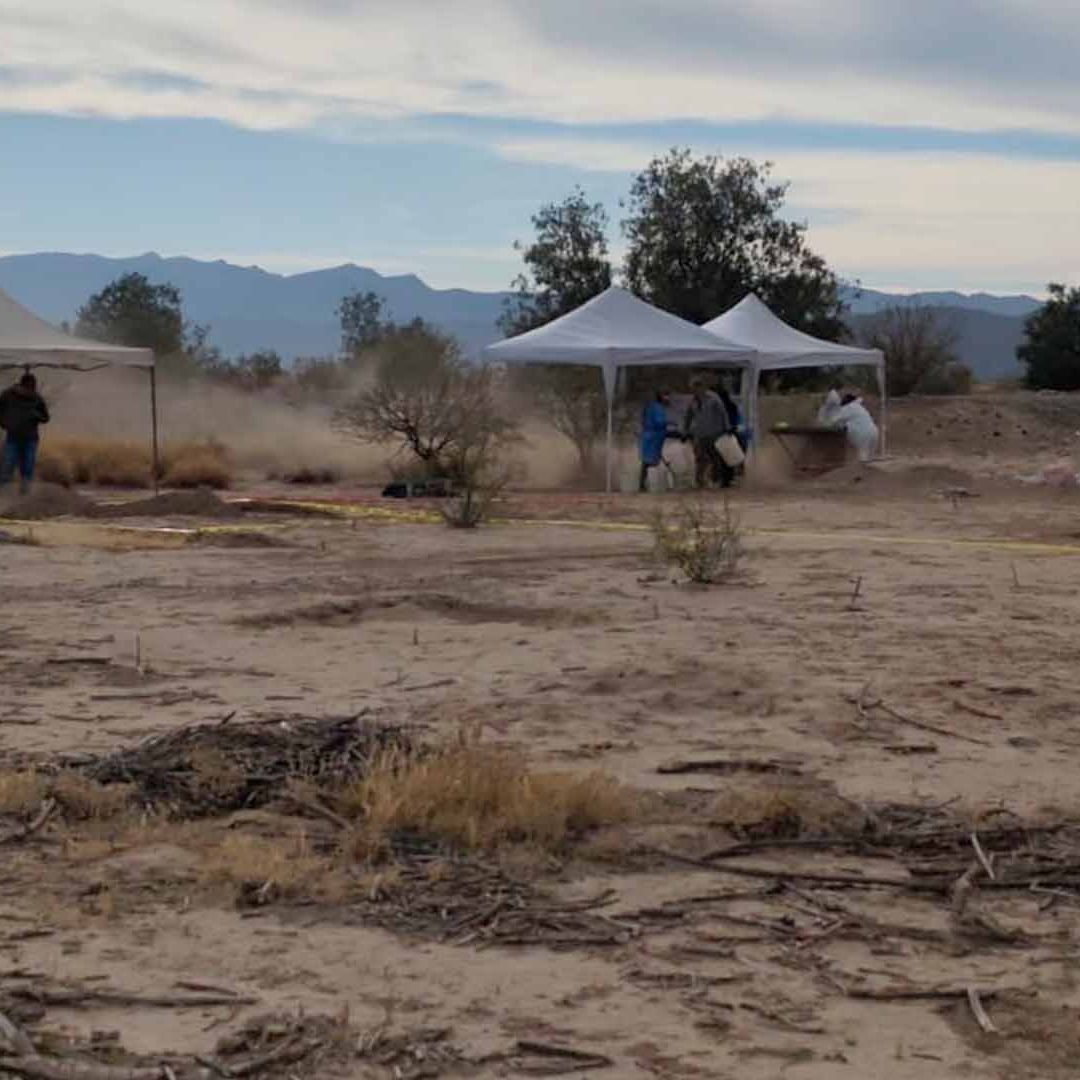 Localizan Restos Óseos Dentro de Campo en La Laguna