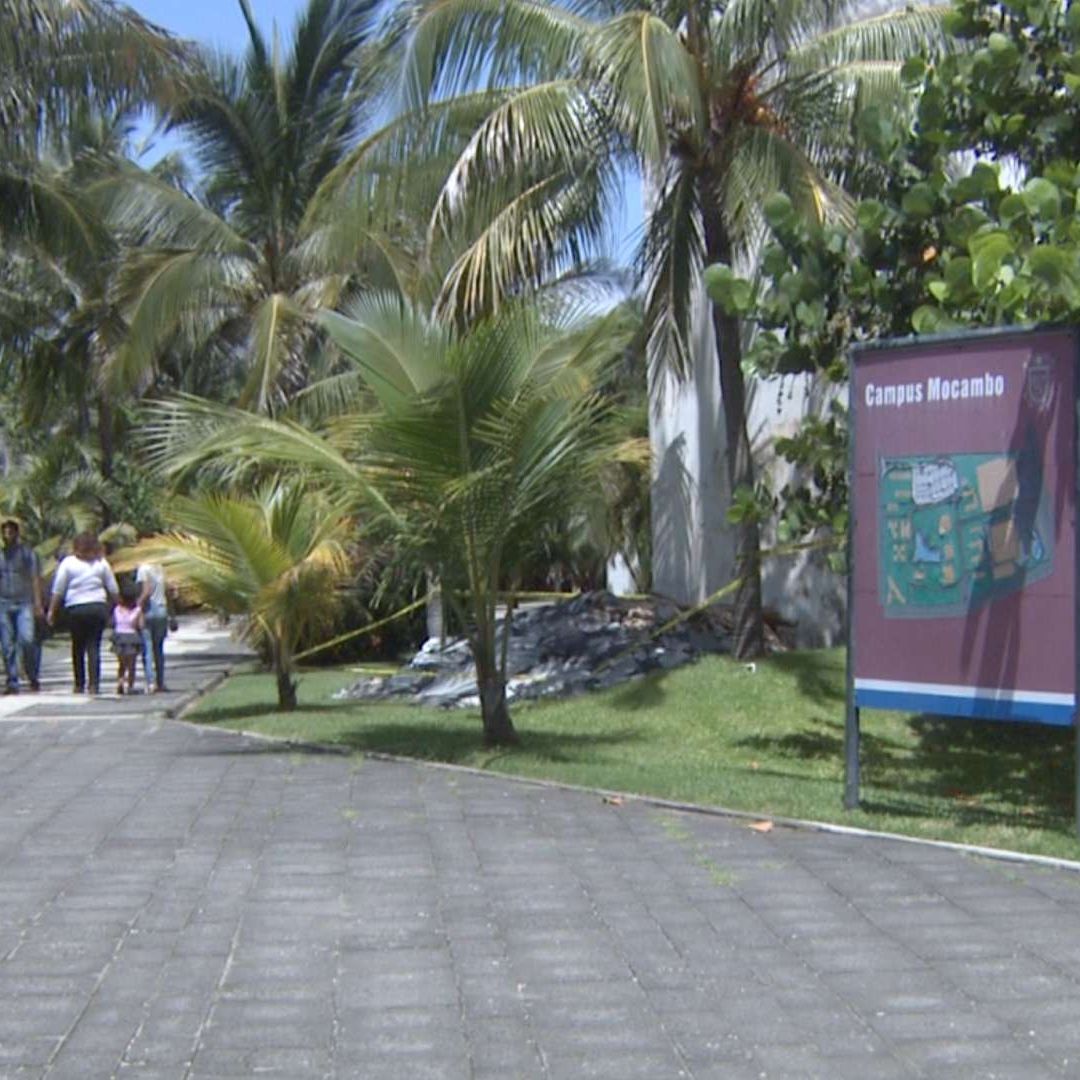 Suspensión de Clases en Universidad Veracruzana UV por Evento Norte Frente Frío 27 Cuándo Sábado 10 Enero