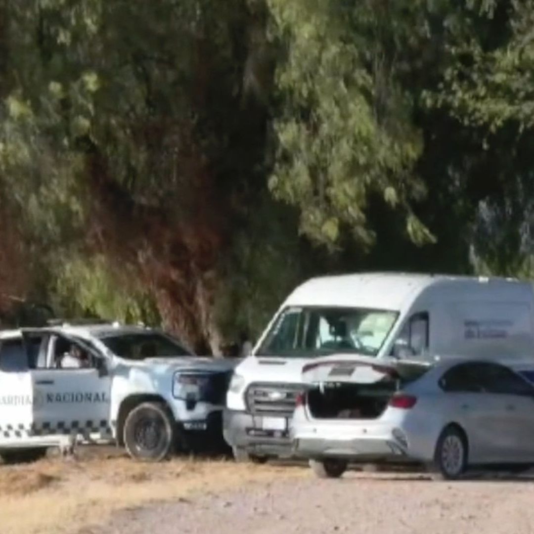 Hallan 13 Cuerpos en Fosa Clandestina Localizada en Comunidades de Morelos y Talavera en Juventino Rosas Guanajuato