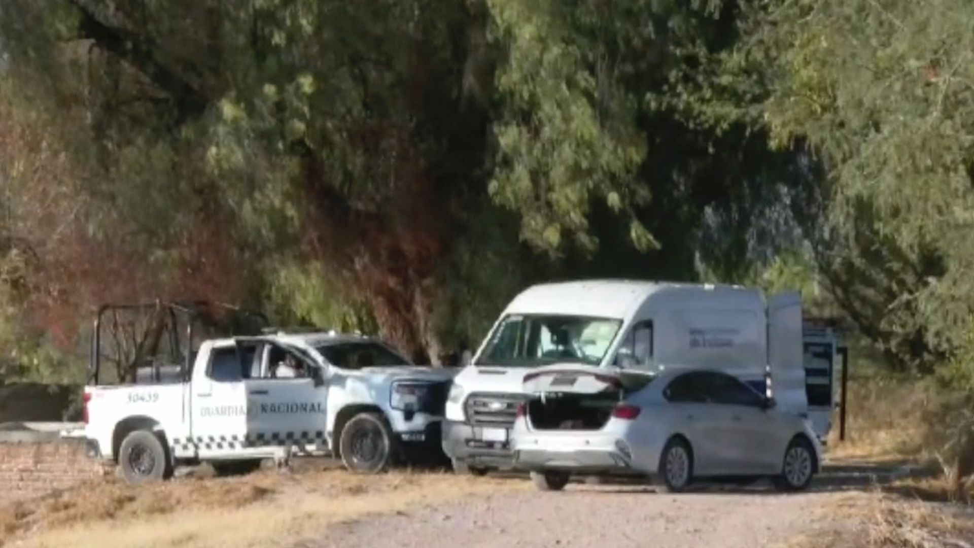 Hallan 13 Cuerpos en Fosa Clandestina Localizada en Comunidades de Morelos y Talavera en Juventino Rosas Guanajuato