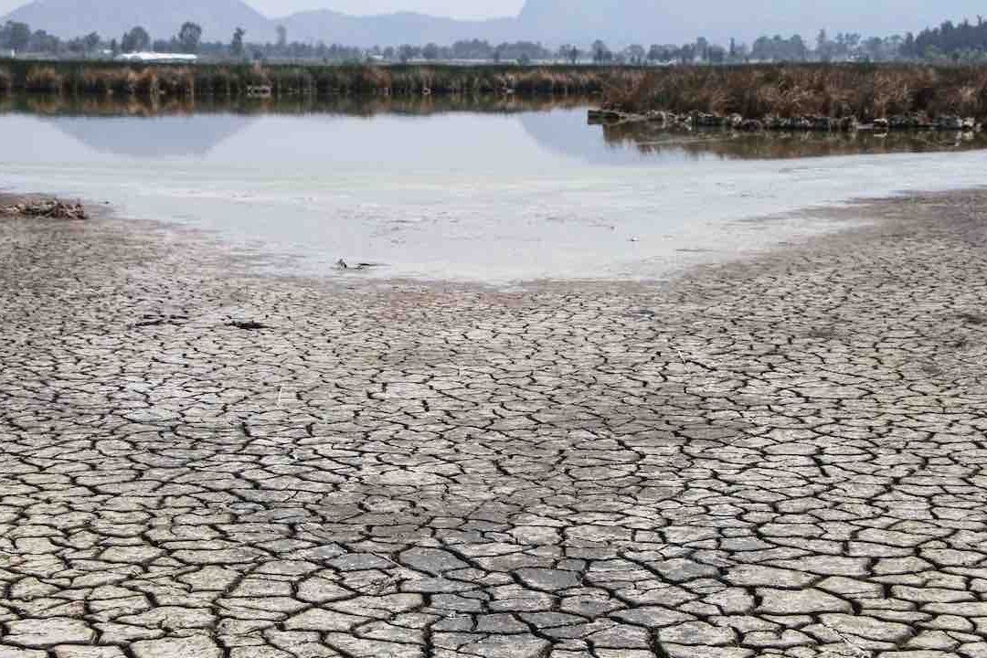 El planeta cruzó siete de ocho límites climáticos