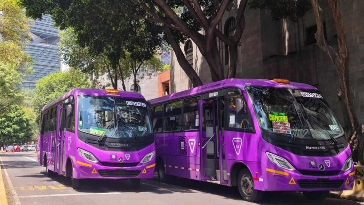 ¿Cuáles Son los Requisitos para Conducir los Nuevos Camiones Morados en CDMX?
