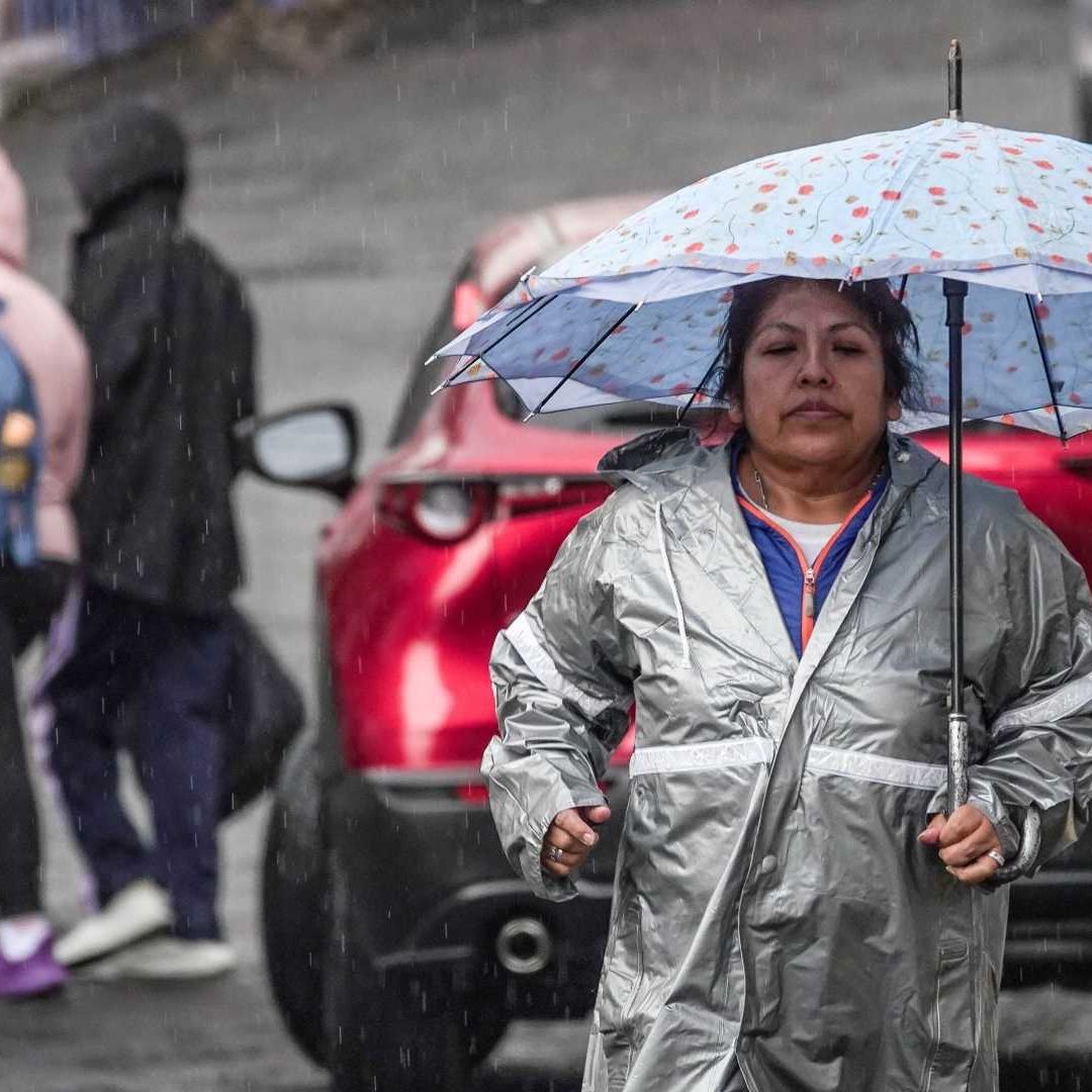 Frío y lluvia en zonas altas de la alcaldía Cuajimalpa el 20 de enero de 2026. Foto: Cuartoscuro