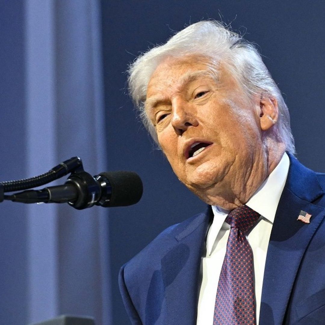 Donald Trump afirma que OTAN debería haber defendido frontera con México