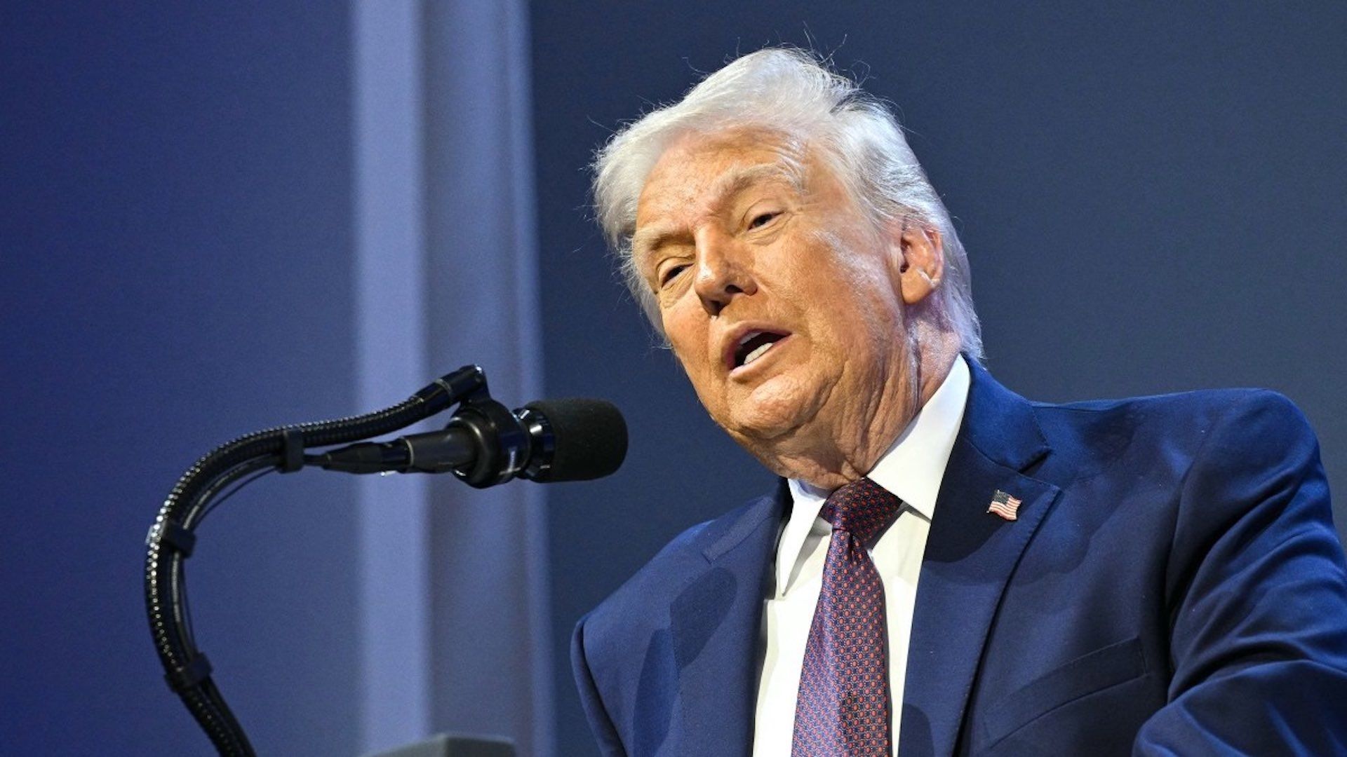 Donald Trump afirma que OTAN debería haber defendido frontera con México