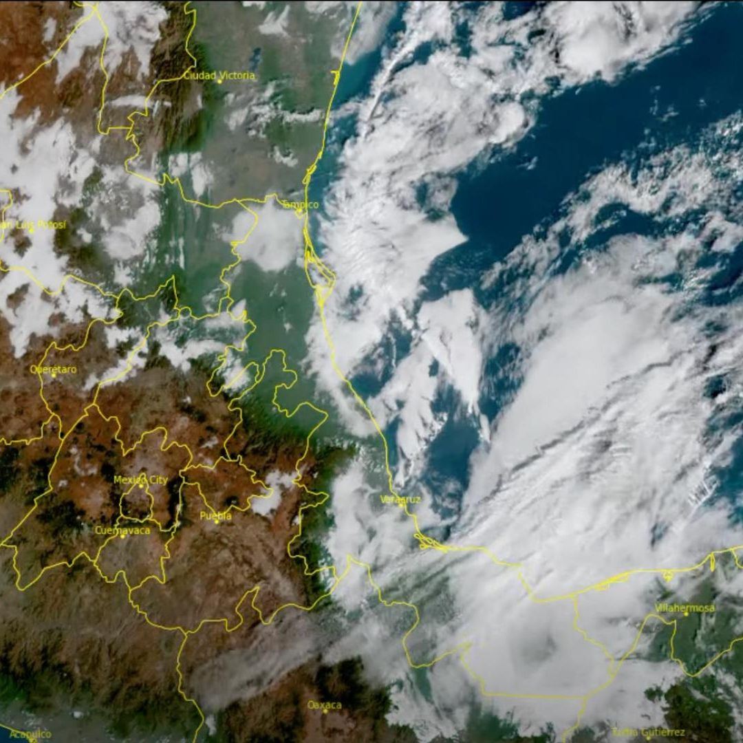 Activan Alerta Gris por Frente Frío 30 Evento de Norte y Lluvia en Veracruz Cuándo Entra Intensidad de Rachas