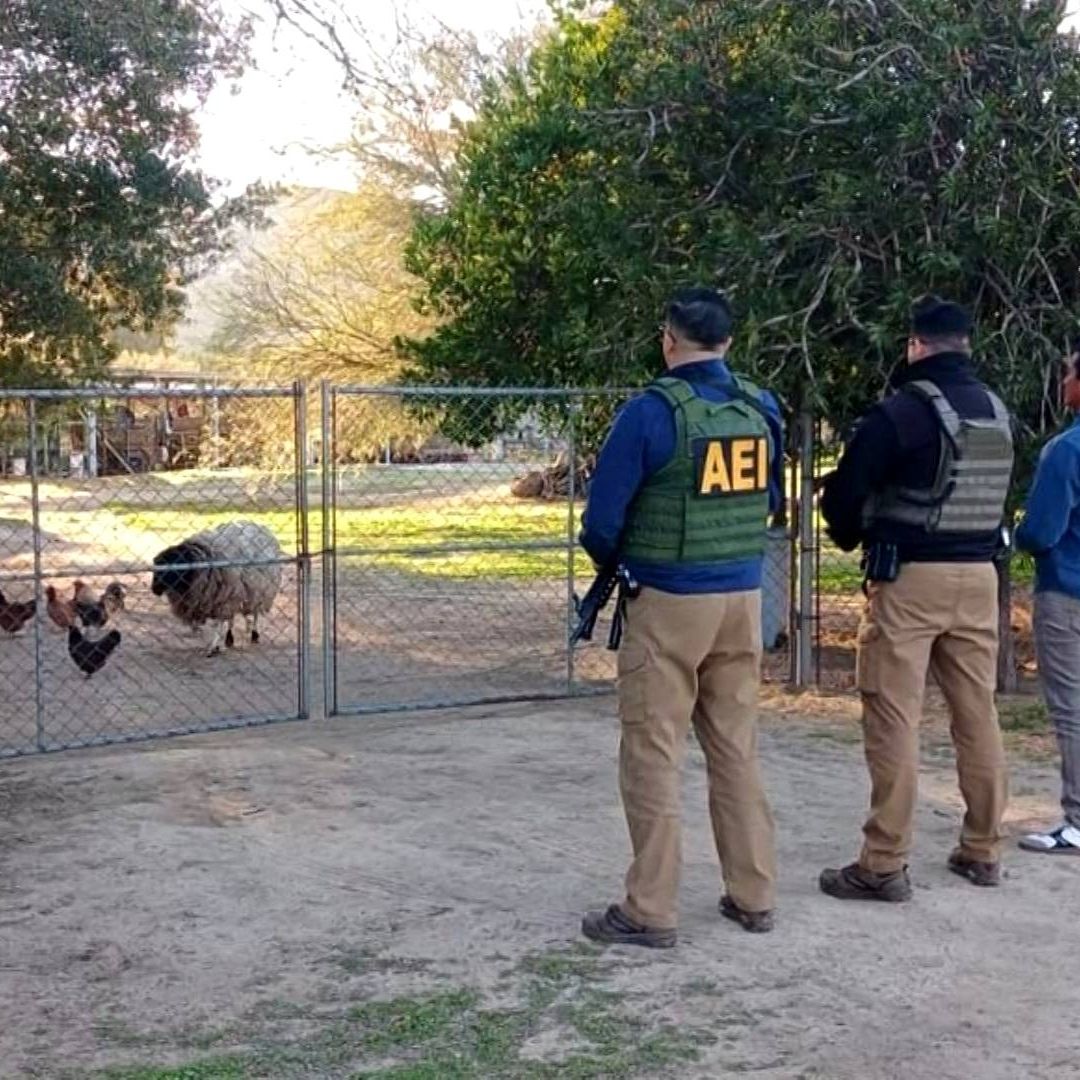 Rescatan a Perra y Borrego Víctimas de Presunto Maltrato Animal en el Testerazo, Tecate