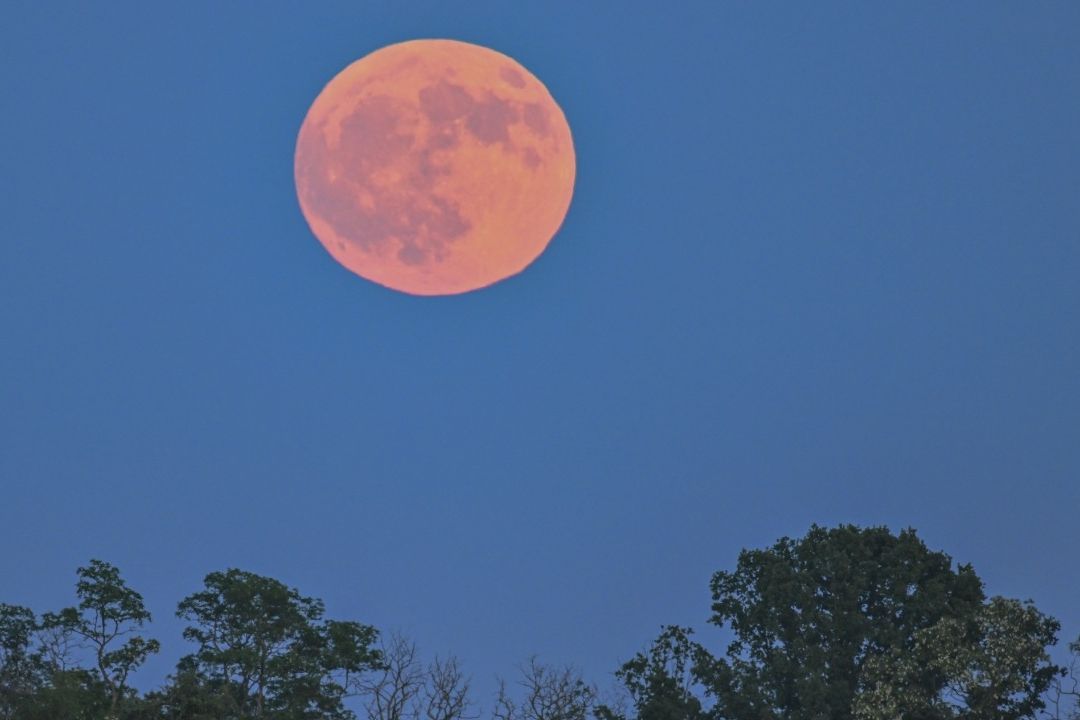 Así se Observó la Luna de Fresa en el Valle de México
