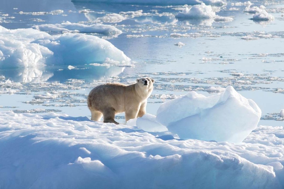 El Ártico podría quedar libre de hielo marino durante los meses de septiembre a partir de 2030-2050 en todos los escenarios de emisiones