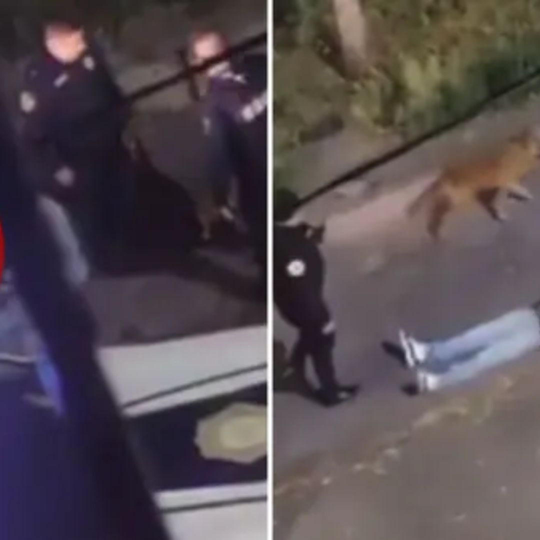 Erick Omar: ¿Qué Ha Pasado con Policías Vinculados a Muerte de Joven Tras Detención en CDMX?
