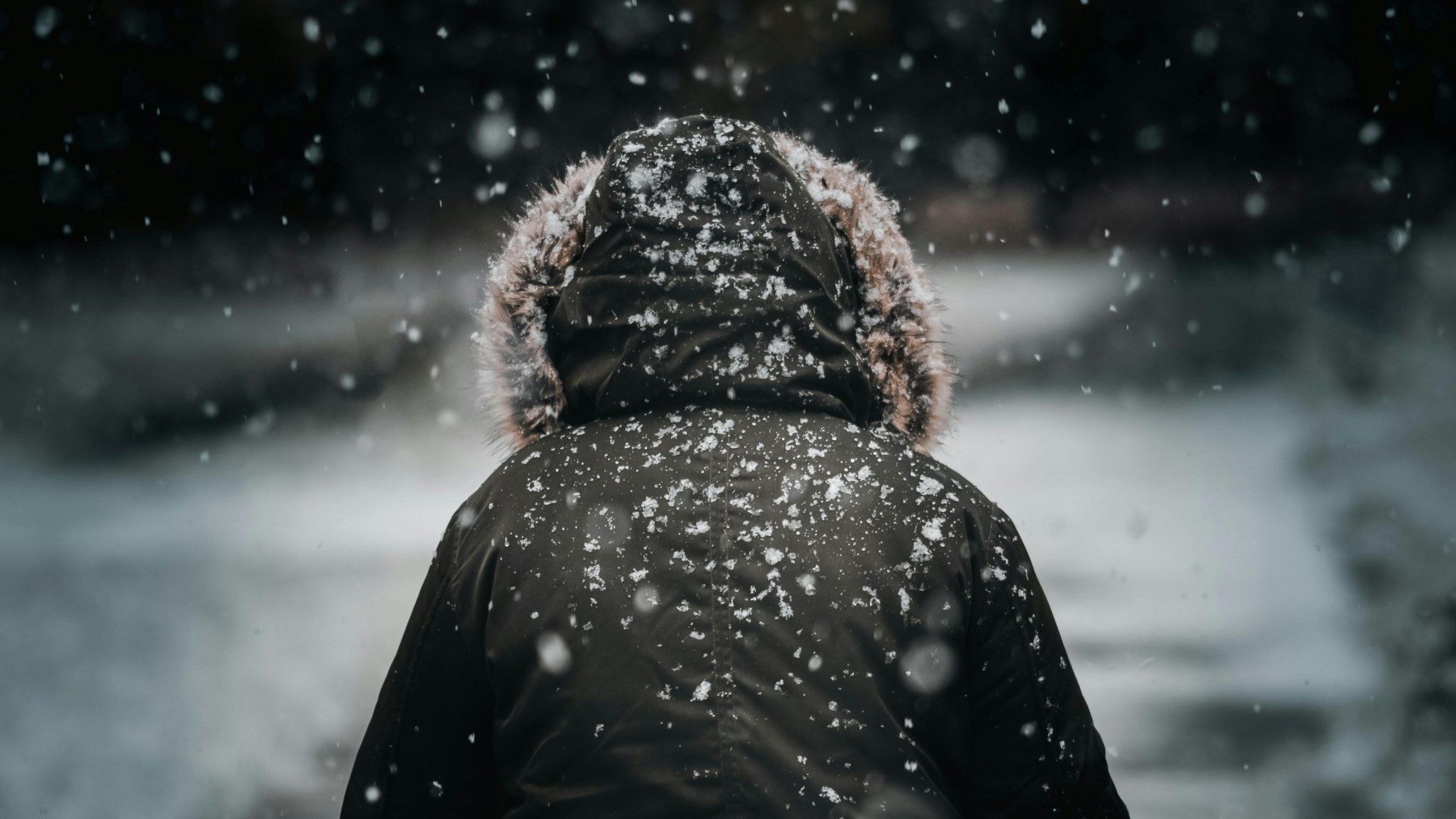 Persona con chamarra y caída de nieve