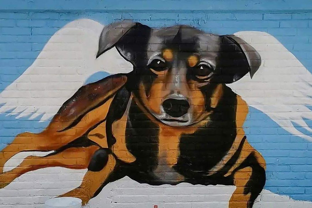 Pintan Mural en Honor a Scooby: Perrito Lanzado al Aceite Hirviendo