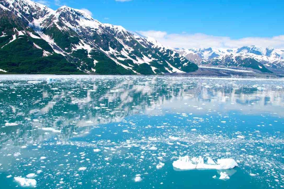 N+ Podcast | Ártico sin Hielo, Desaparecidos y Juicio Real