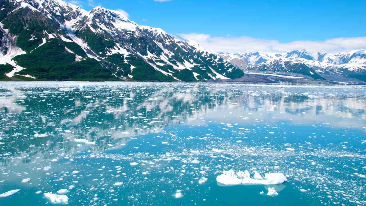 N+ Podcast | Ártico sin Hielo, Desaparecidos y Juicio Real