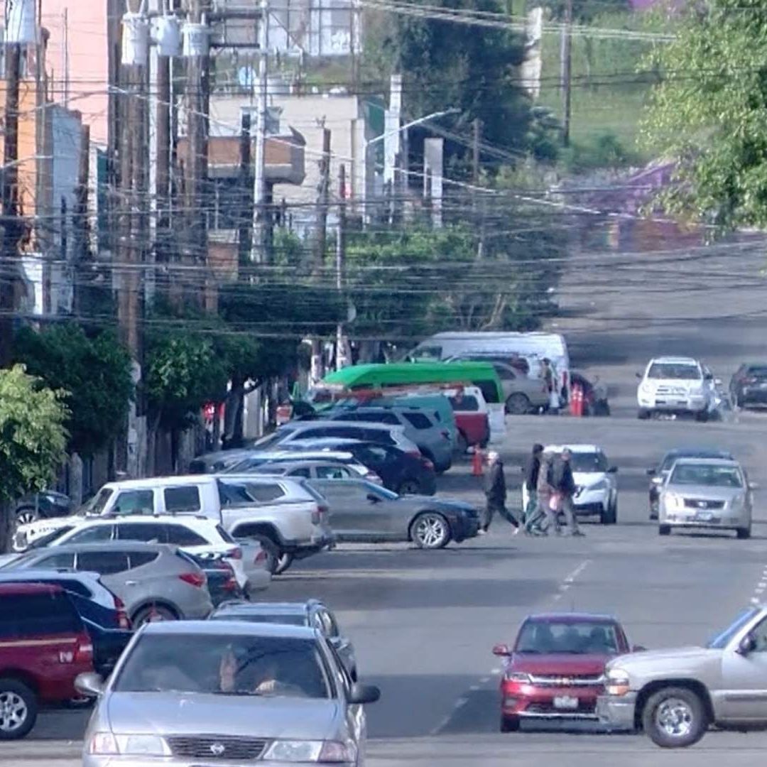 Comerciantes Reportan Presencia de Ratas en la Zona Centro de Tijuana