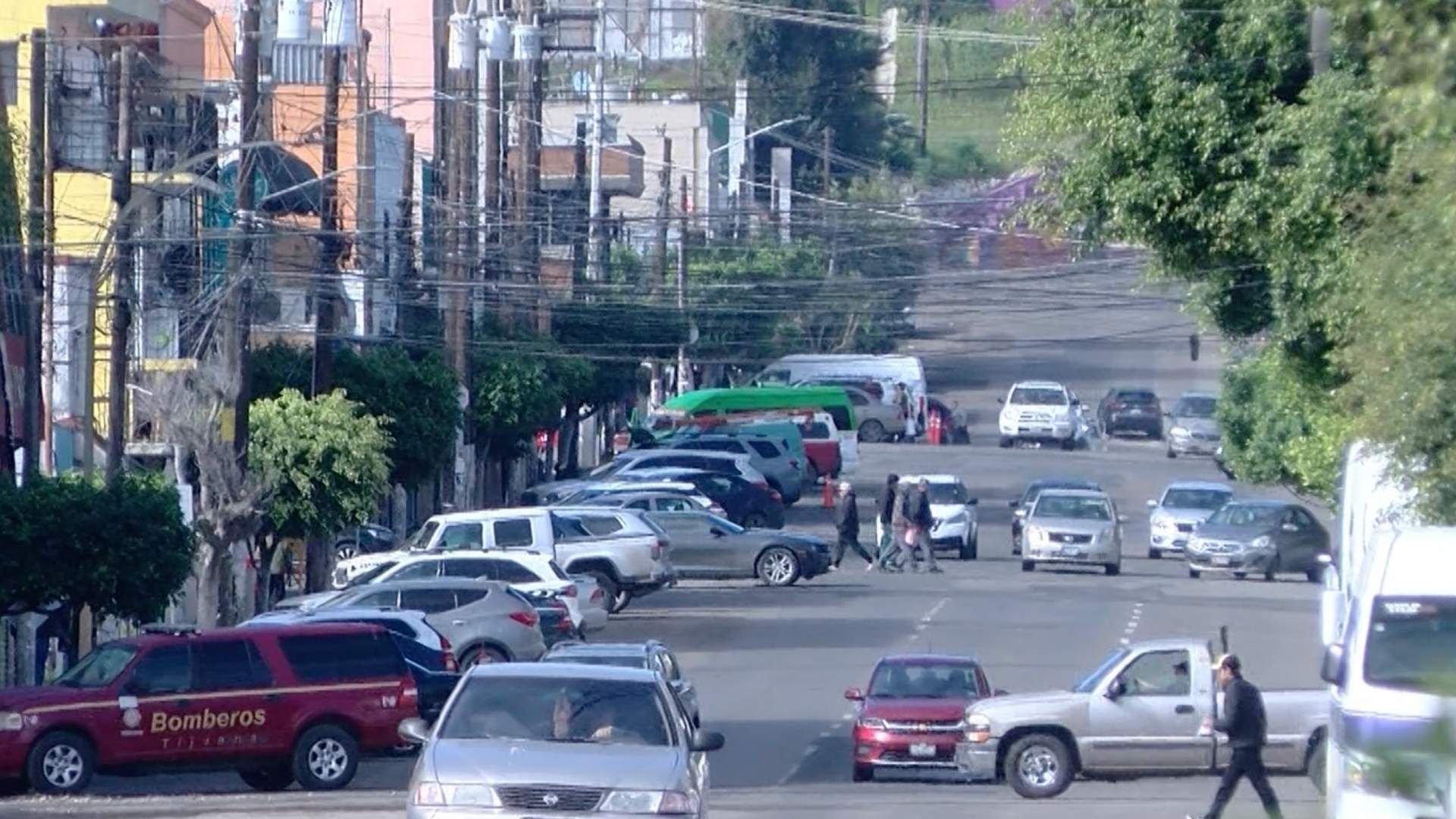 Comerciantes Reportan Presencia de Ratas en la Zona Centro de Tijuana
