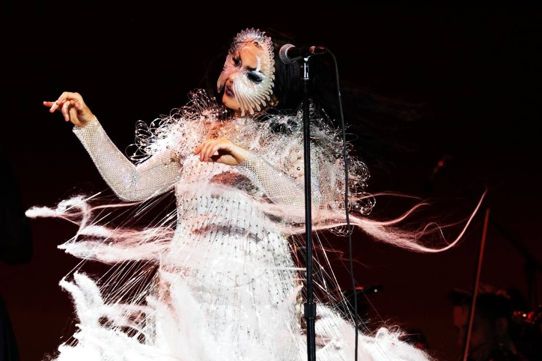 Björk Busca a Musk: Propone Festivales en Cruceros con Energía Solar