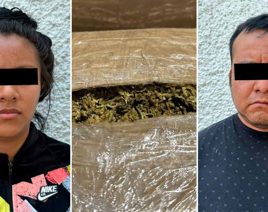 Metrobús CDMX: Invaden Carril Confinado; Les Encuentran 100 Kilos de Marihuana