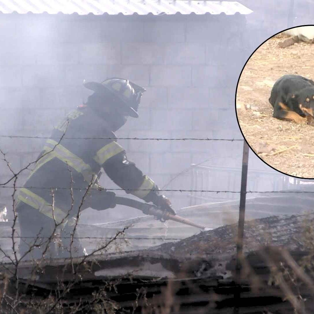Brasas Arrastradas Por el Perro Provocaron el Incendio | Foto: N+