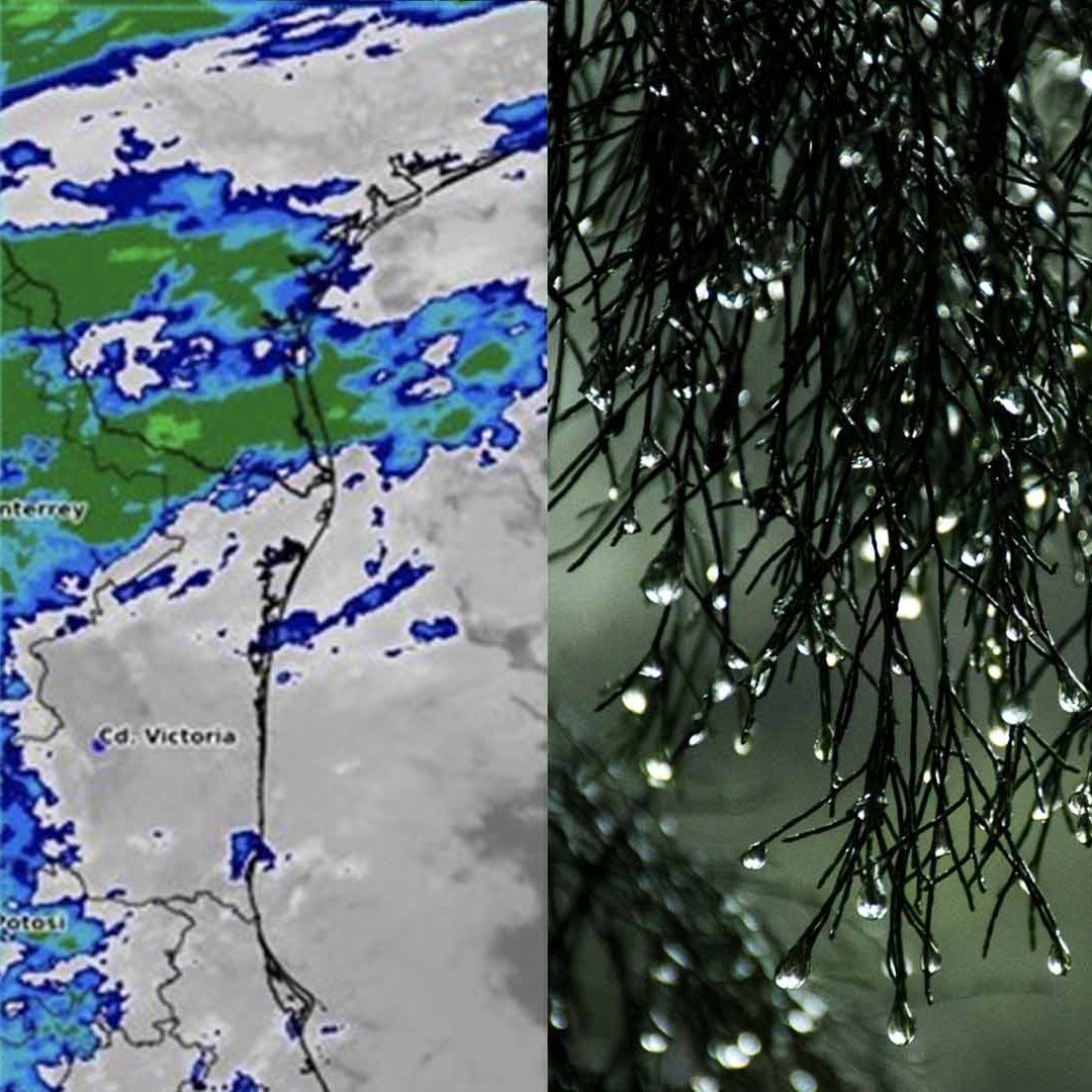 Así Estará el Clima Hoy en Tamaulipas: Prevén Lluvias Intermitentes en Zona Centro y Cañera