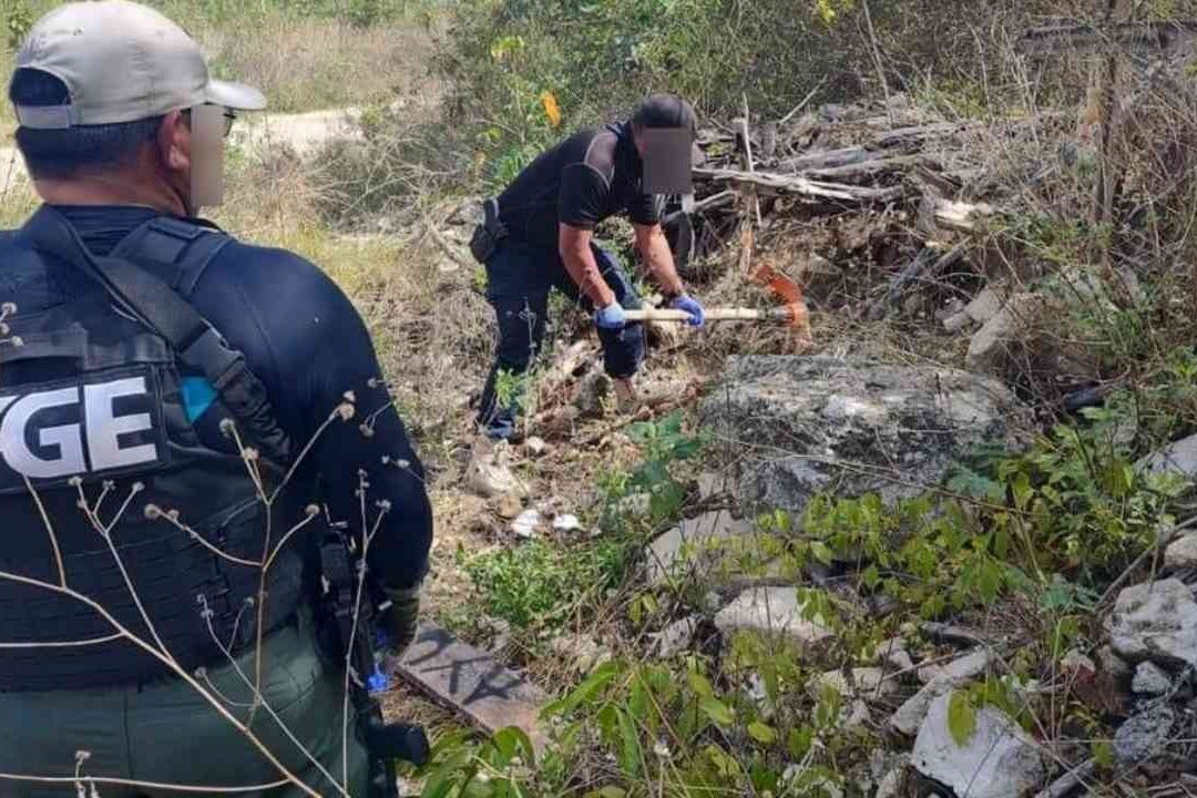 Hallan Siete Osamentas Humanas en Selva de Quintana Roo
