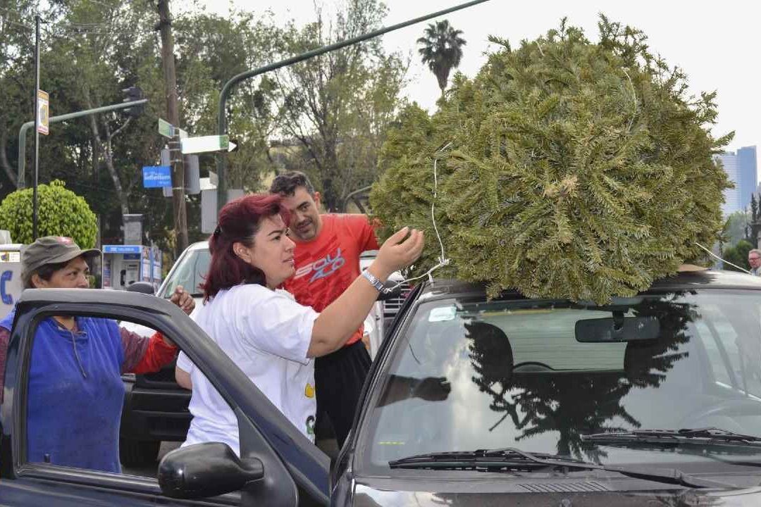 CDMX: ¿Cuál es la Multa por Llevar Cosas en el Techo del Carro? | ¿Qué dice el reglamento?
