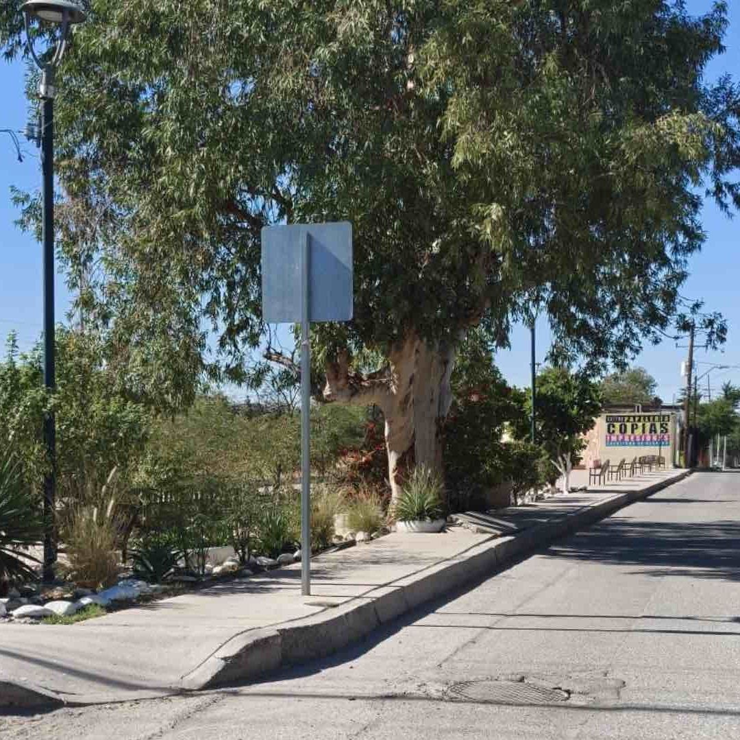 Sujeto Detenido por Presuntamente Golpear y Despojarle Dinero a Adulto Mayor en Hermosillo