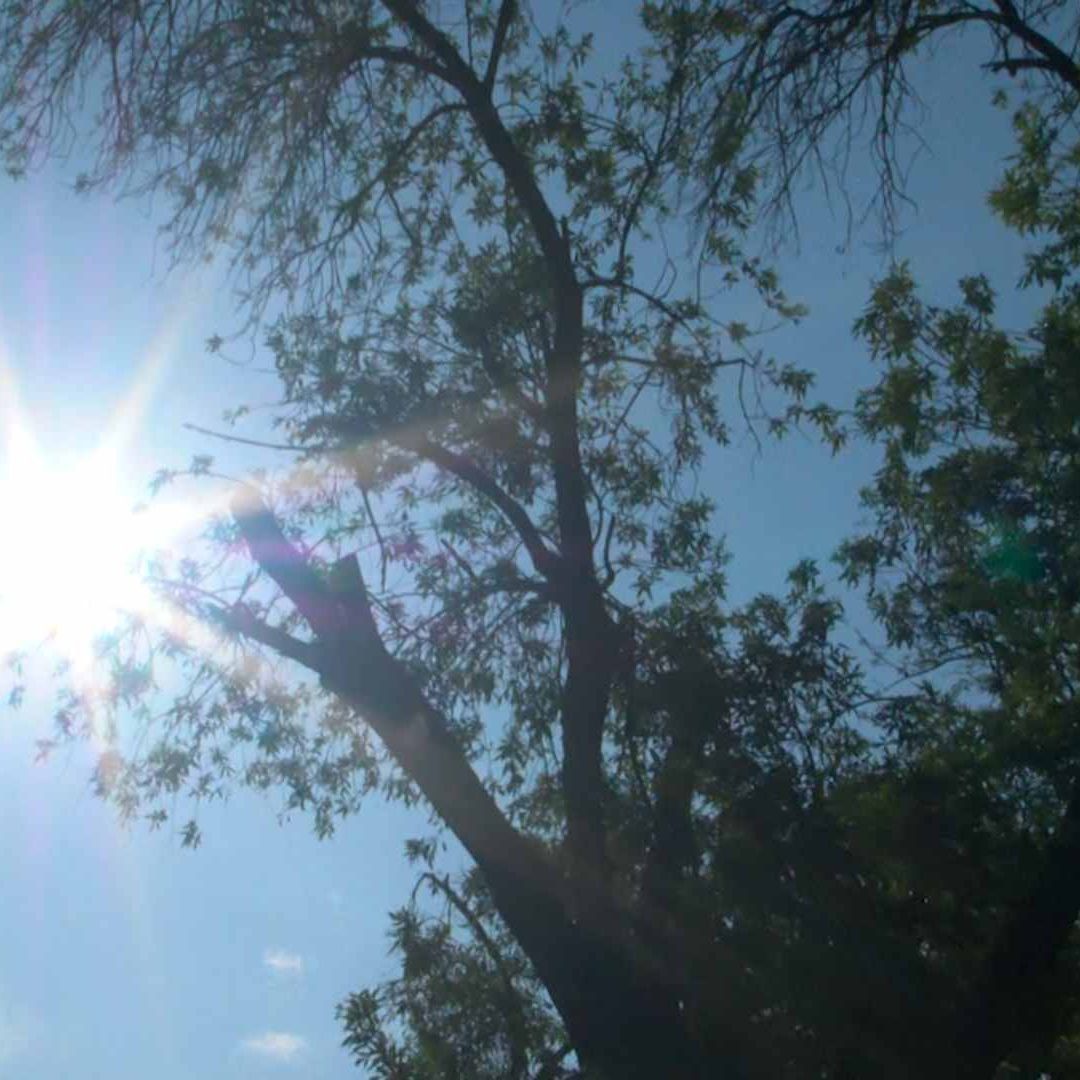 Exposición constante y sin protección al sol puede causar cáncer y envejecimiento prematuro de piel. Foto: N+