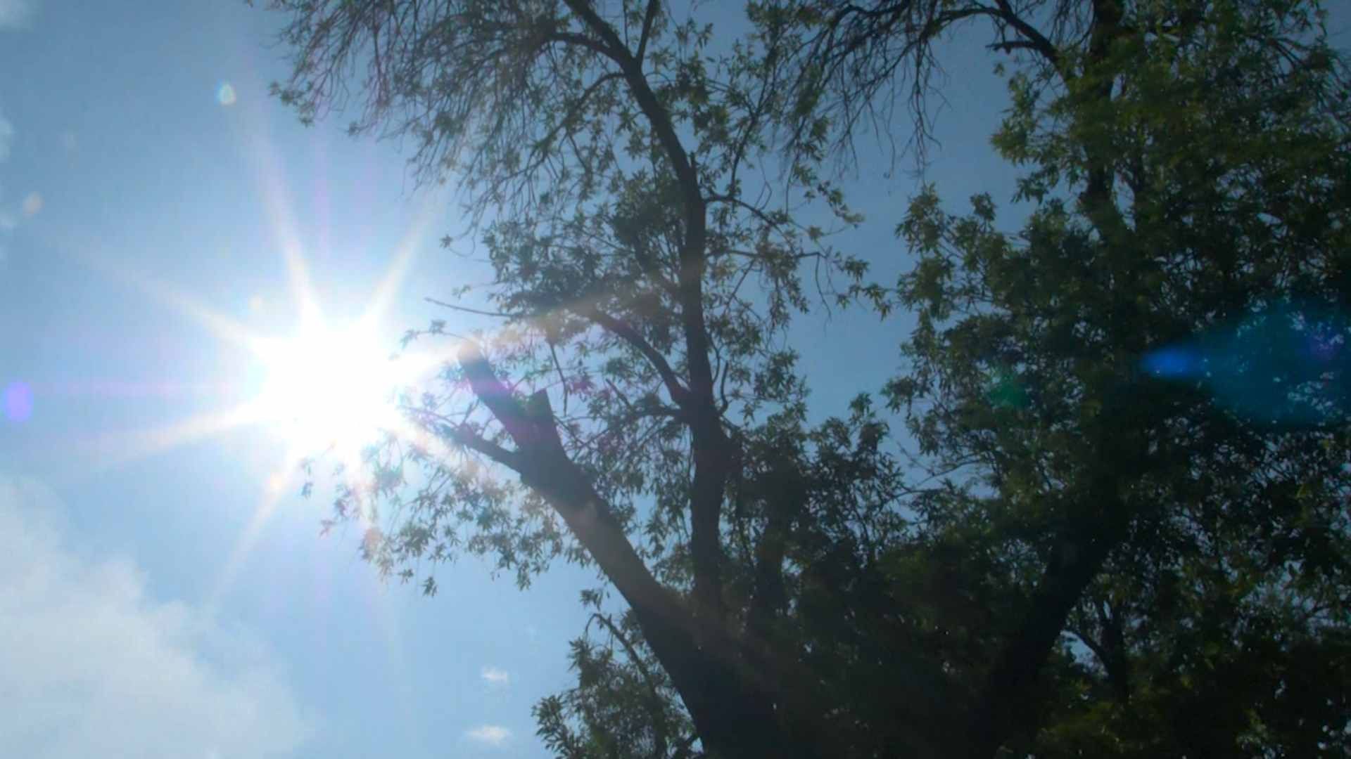 Exposición constante y sin protección al sol puede causar cáncer y envejecimiento prematuro de piel. Foto: N+