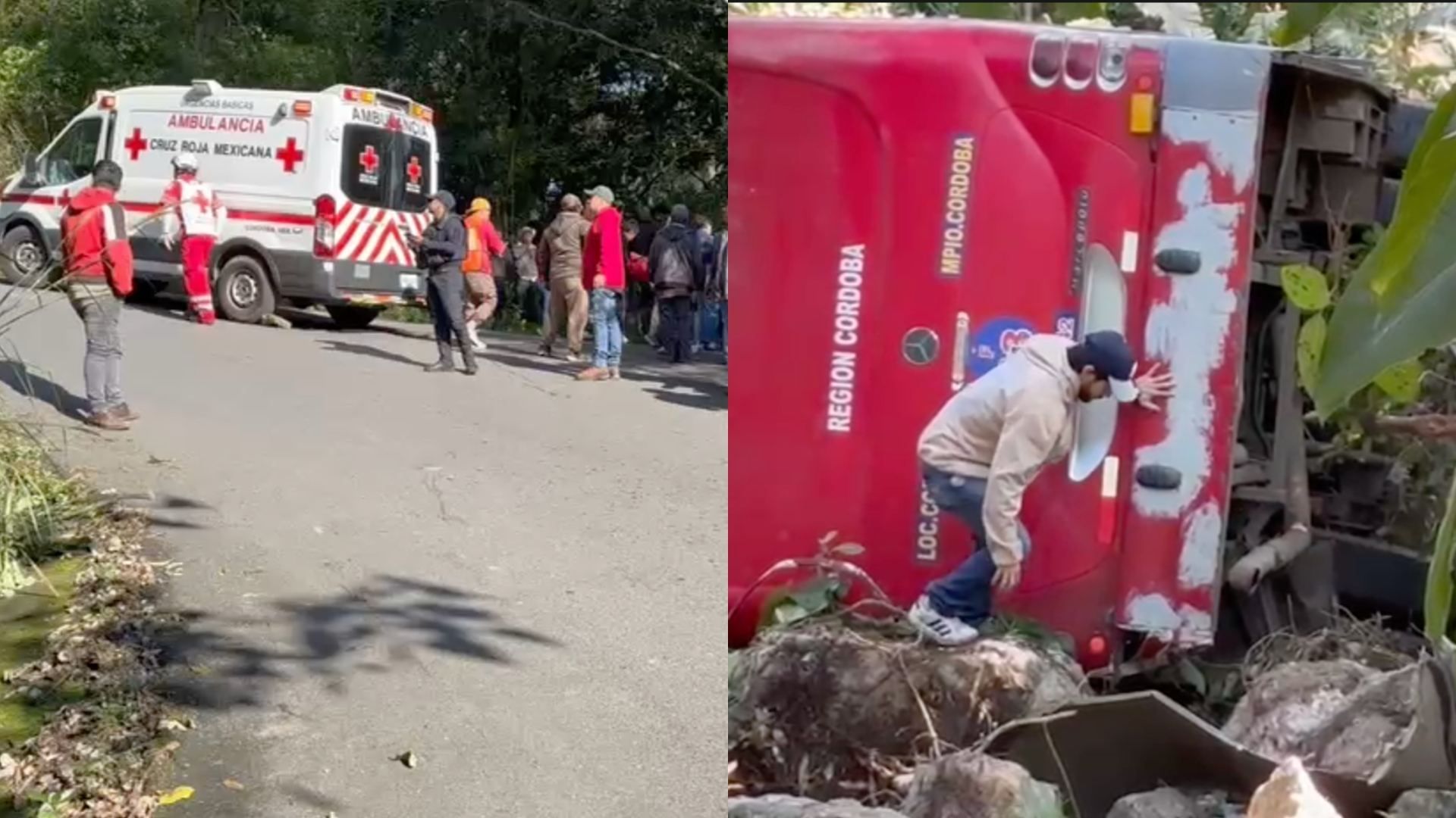 Las autoridades ya  compartieron la lista de personas que resultaron lesionadas en este lamentable accidente ocurrido en la región de las altas montañas de Veracruz.
