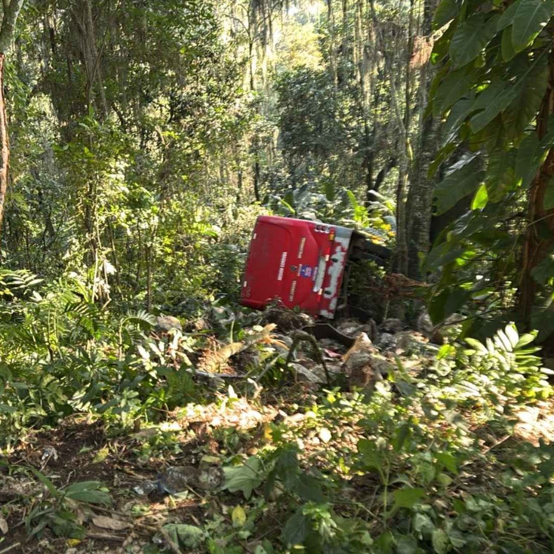 Autobús con Pasajeros Cae a Barranco 30 Metros Carretera Nexca Naranjal Veracruz Estudiantes Lesionados