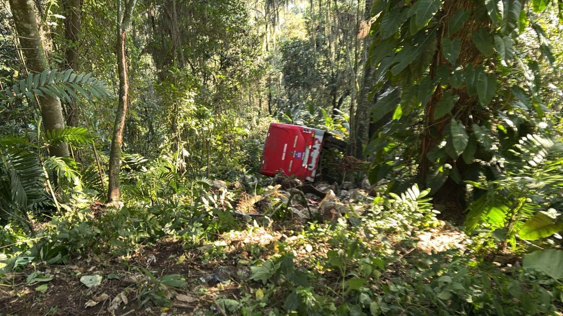 Autobús con Pasajeros Cae a Barranco 30 Metros Carretera Nexca Naranjal Veracruz Estudiantes Lesionados