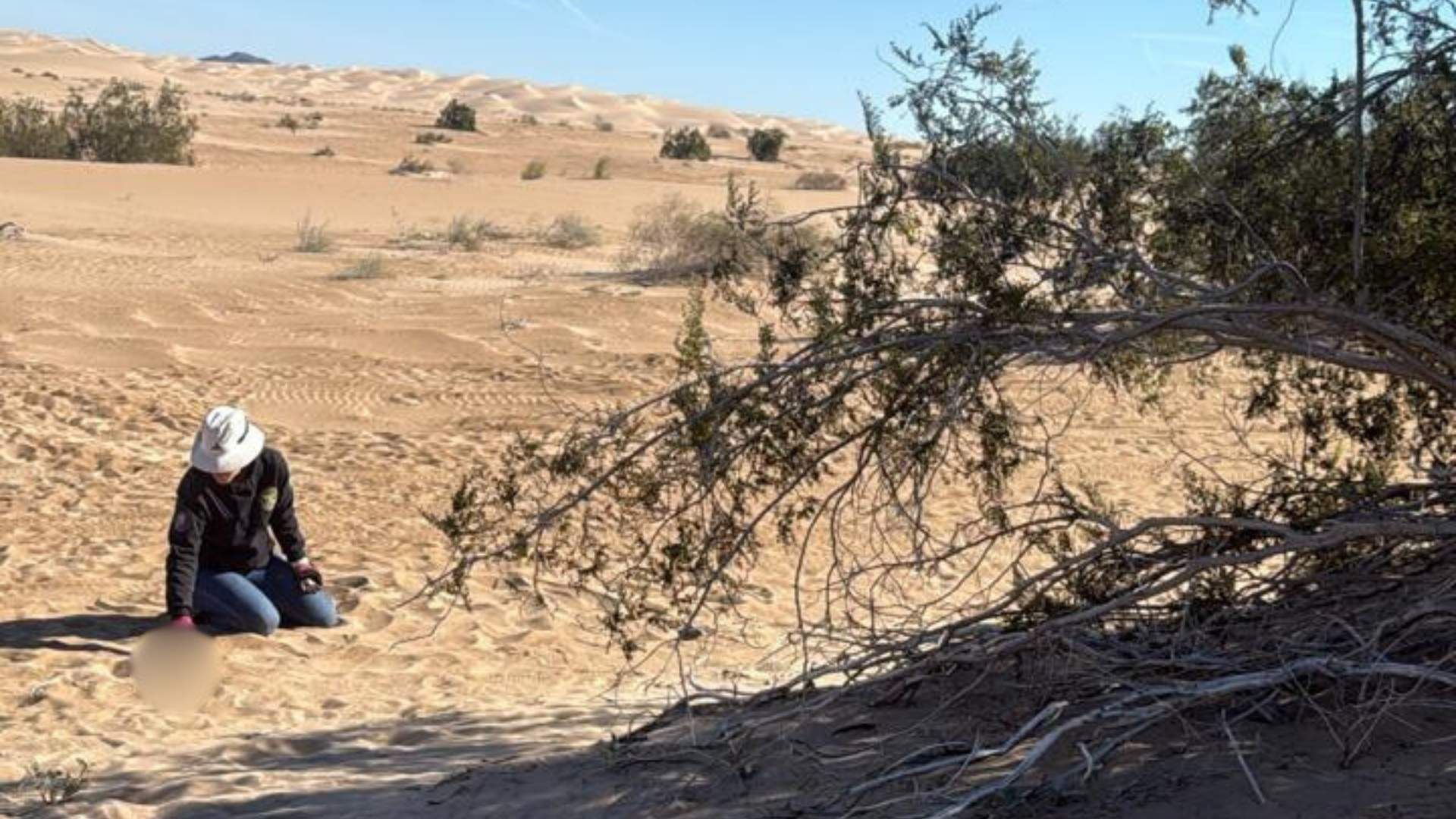 Desierto de Banco Cuervitos en Mexicali