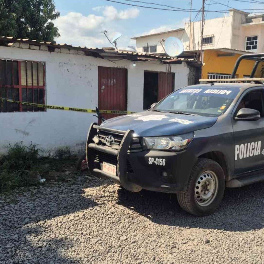 Se Registra Movilización de Autoridades por Operativo Cateo en Colonia Malibrán de Veracruz