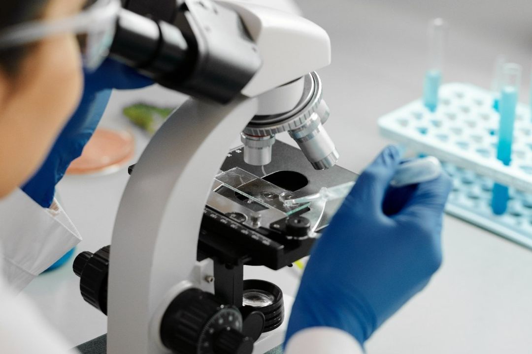 Descubren posible vía para desactivar la malaria