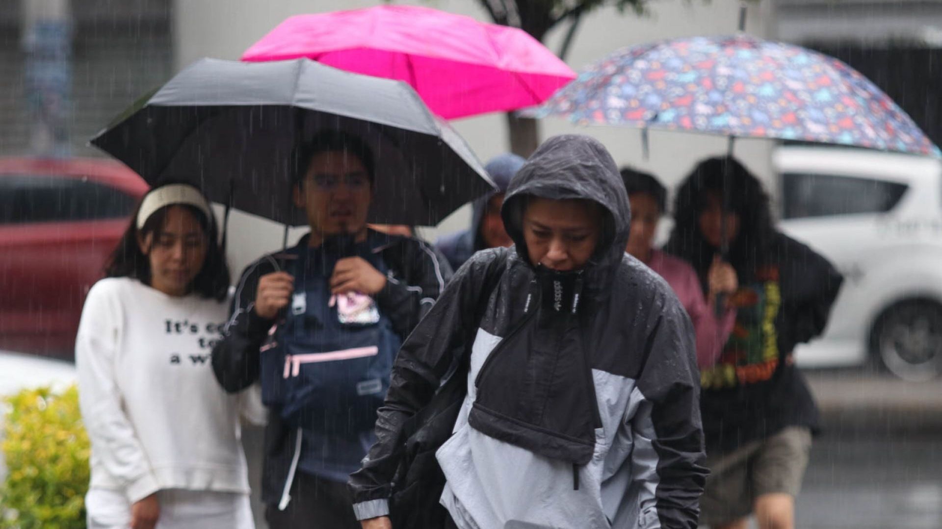 Personas con sombrillas en medio de la lluvia.