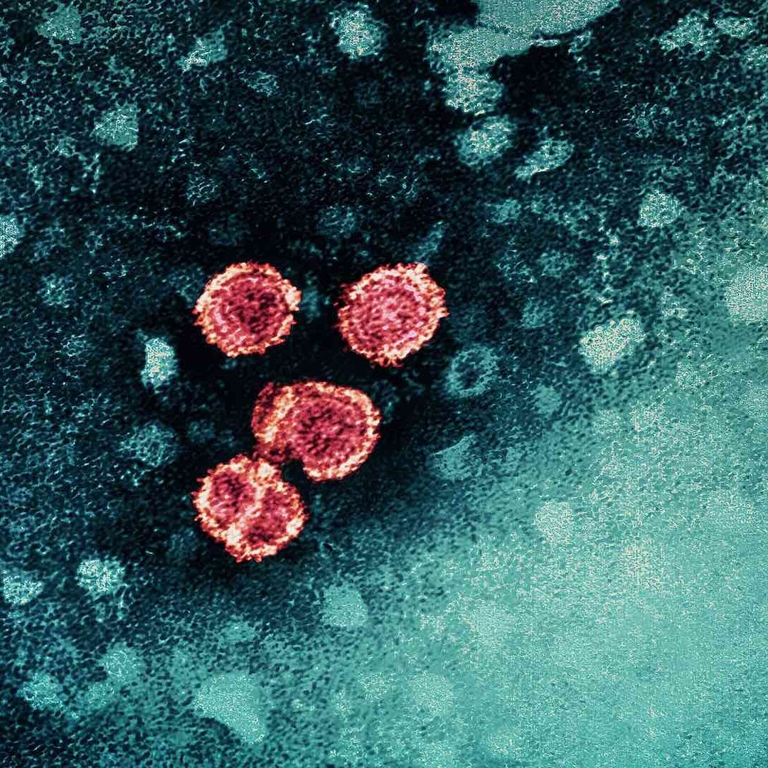 Fármaco que podría curar la hepatitis B llega a fase 3 de pruebas