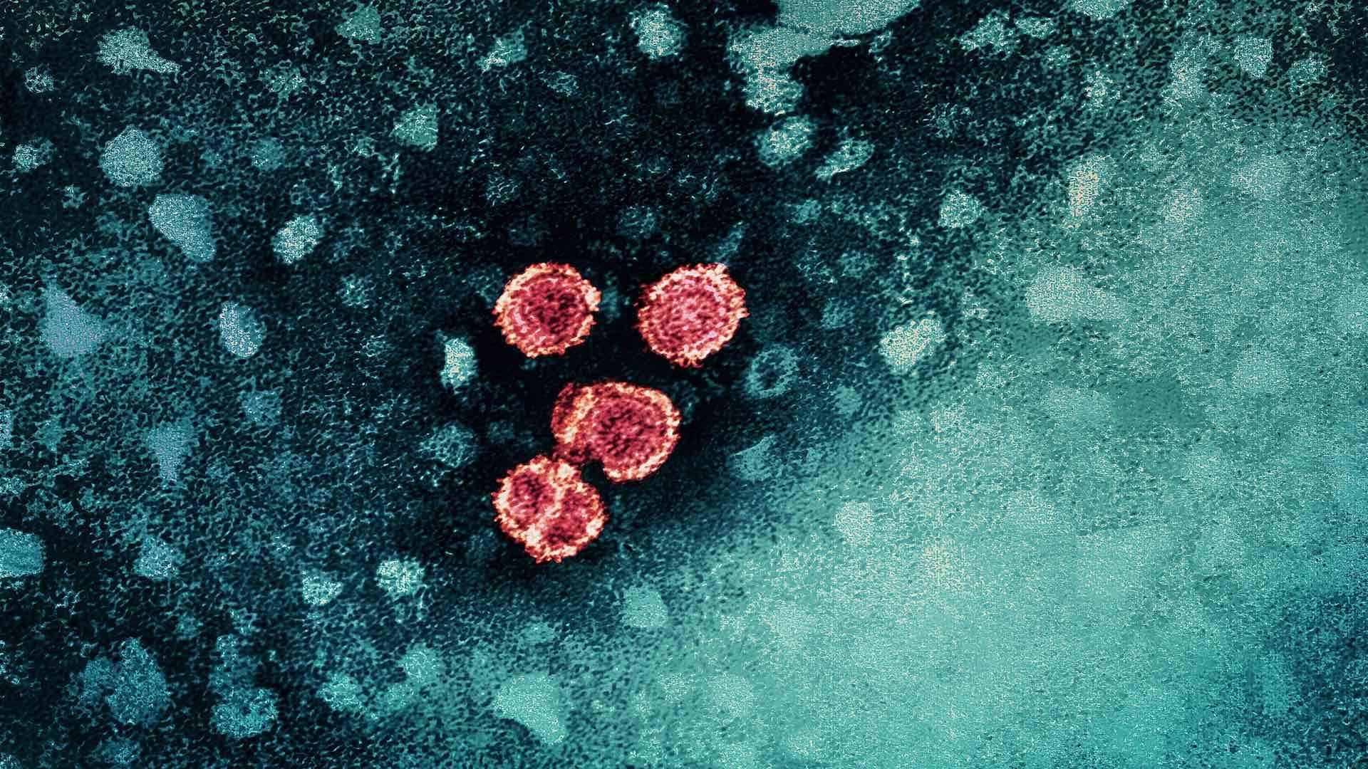 Fármaco que podría curar la hepatitis B llega a fase 3 de pruebas