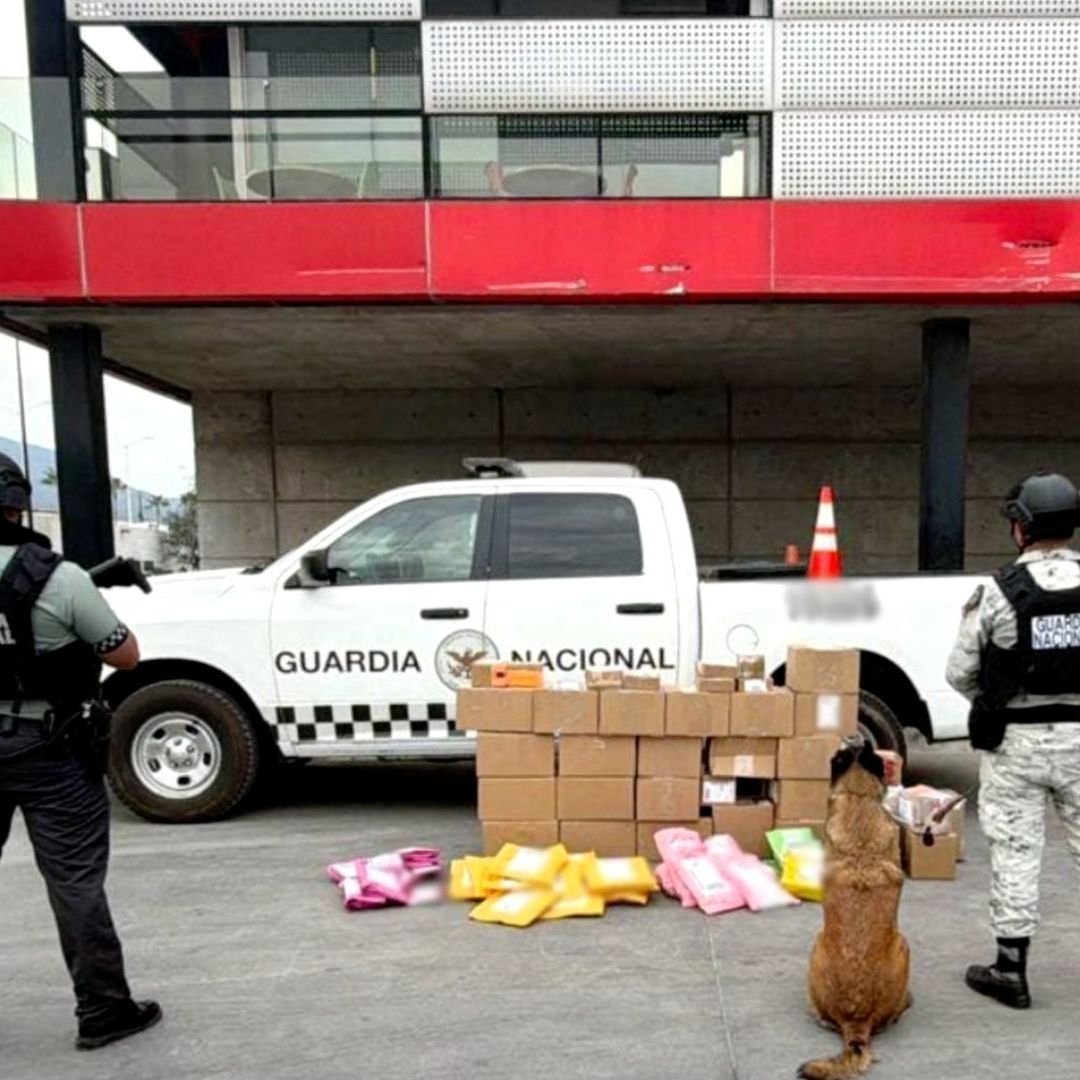 Guardia Nacional asegura paquetes con droga en empresa de paquetería