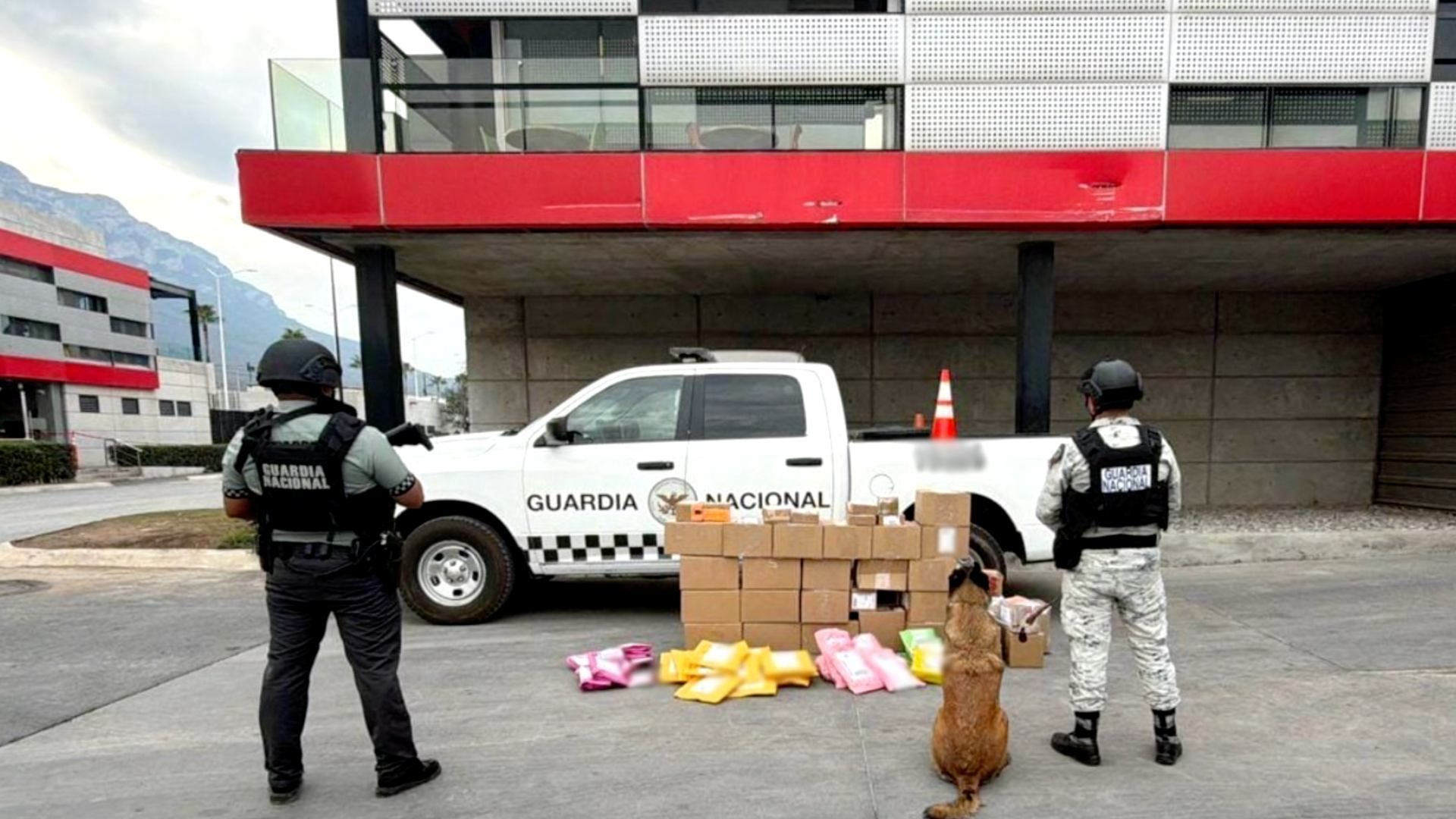 Guardia Nacional asegura paquetes con droga en empresa de paquetería