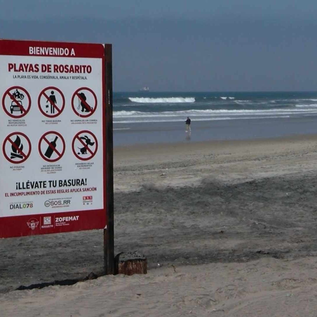 Localizan aves muertas en Rosarito, Baja California