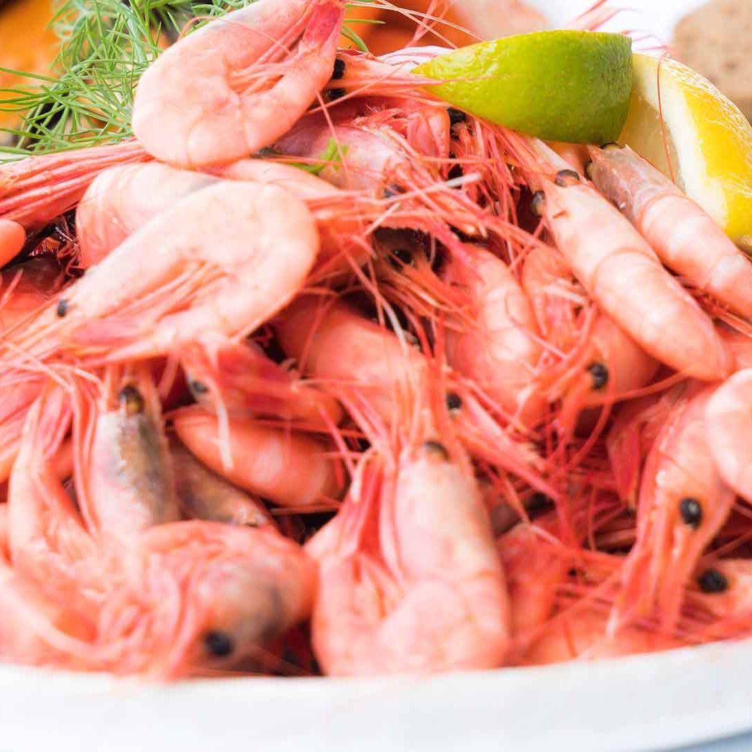 ¡Evita Enfermarte! Te Enseñamos a Elegir Pescado y Mariscos