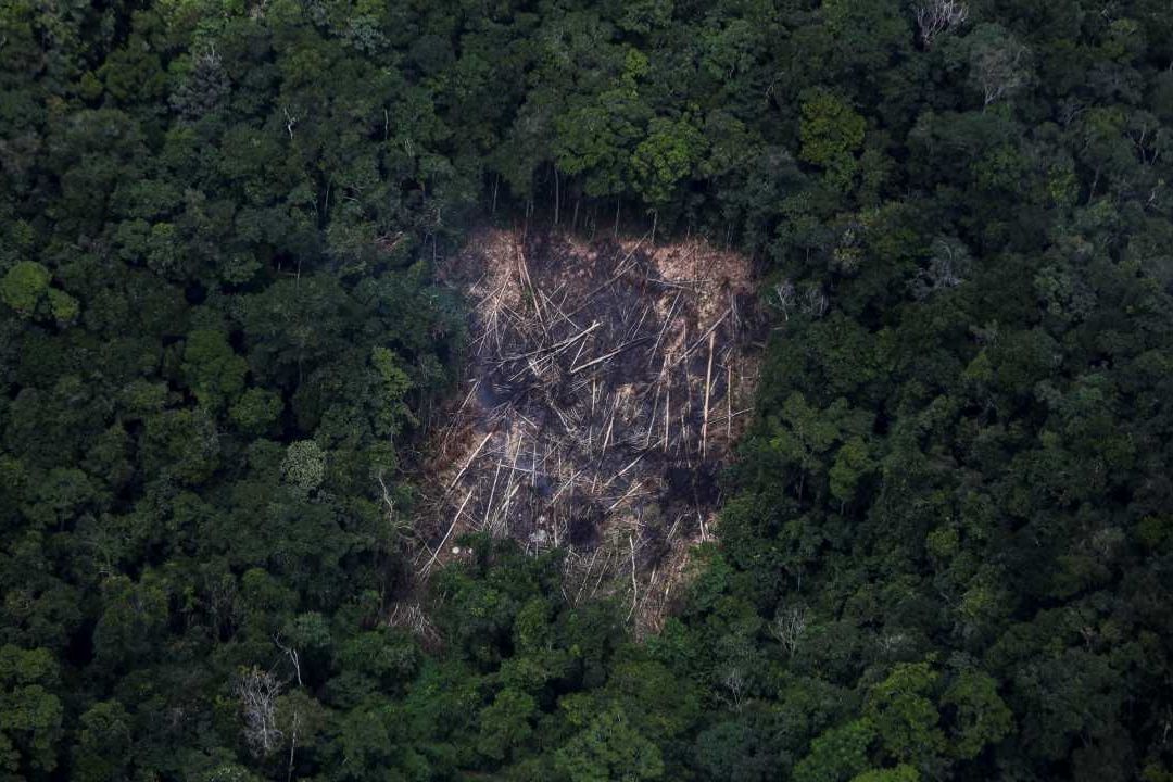 Amazonía: Deforestación del Pulmón del Planeta