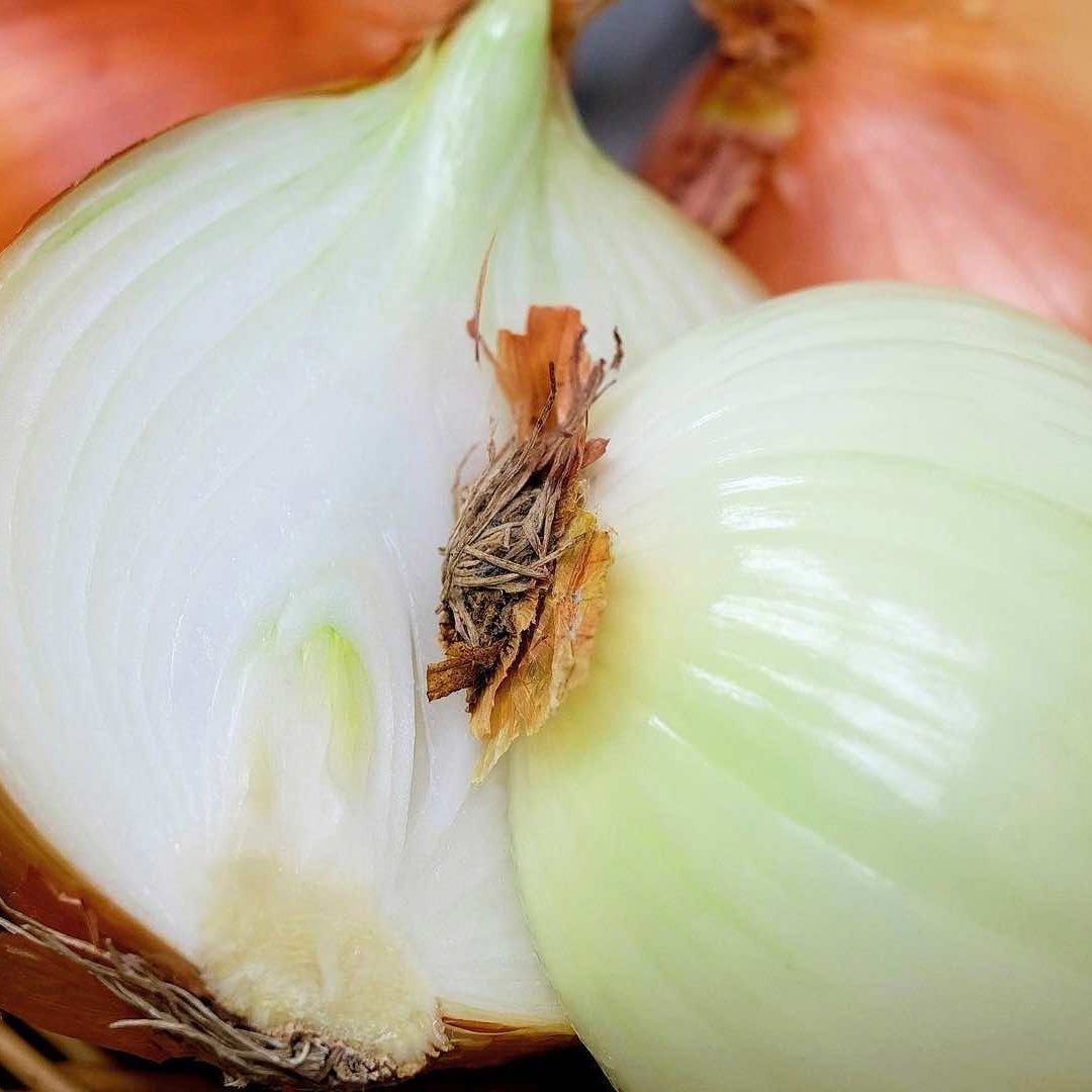 La cebolla es una hortaliza y estas forman parte de un conjunto de plantas que se incluyen en la familia de las verduras y las legumbres