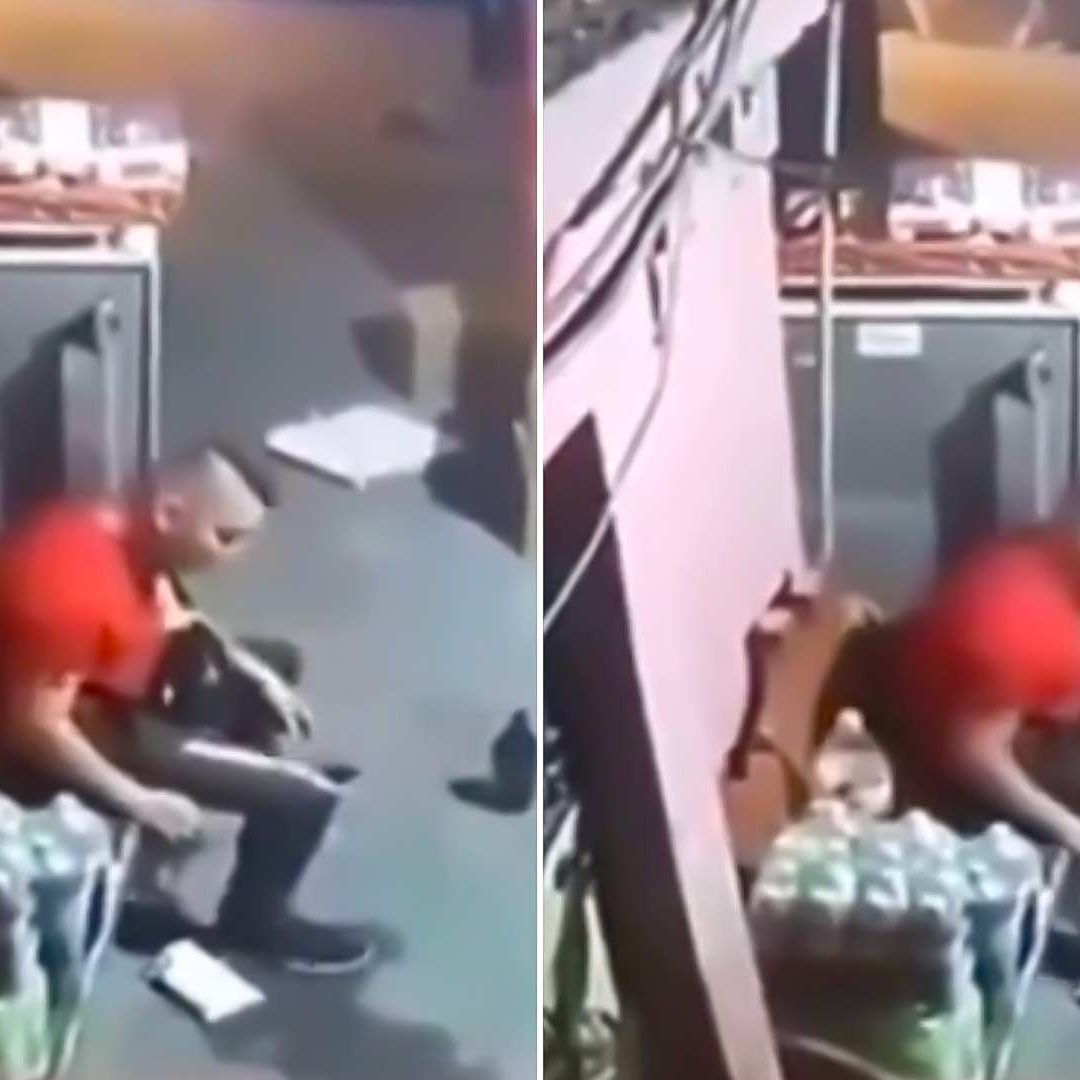 ¡Indignante! Borracho Mata a Gatito en Tlalnepantla, Edomex