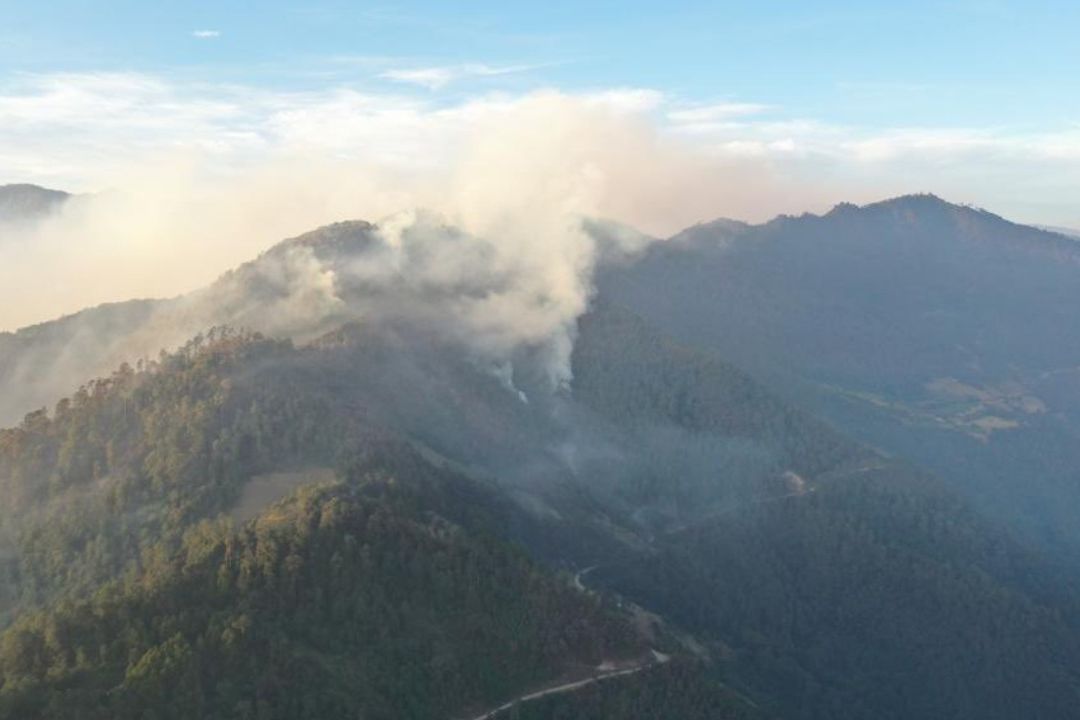Incendio Forestal en Zacatlán Consume 700 Hectáreas