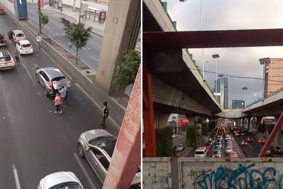Conductores detienen Periférico para salvar a perrito