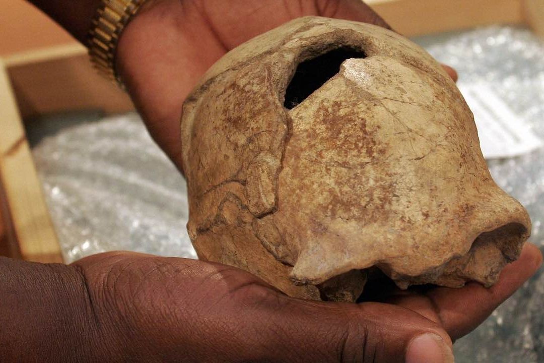 Ancestros de los Humanos Eran Caníbales, Sugiere Evidencia
